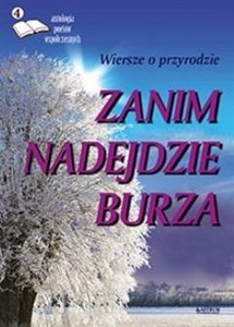 Picture of Zanim nadejdzie burza