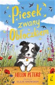 Piesek zwa... - Helen Peters -  Polish Bookstore 