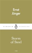 Storm of S... - Ernst Junger -  books from Poland