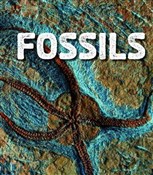 Fossils (F... - Ava Sawyer -  foreign books in polish 