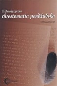 polish book : Czterojęzy... - Anna Sieklucka, Juliusz Parnowski