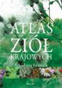 Obrazek Atlas ziół krajowych