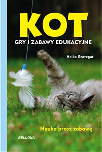 Obrazek Kot Gry i zabawy edukacyjne