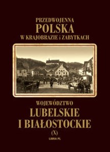 Picture of Województwo lubelskie i białostockie Tom 10