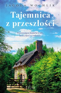 Picture of Tajemnica z przeszłości