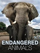 polish book : Endangered... - Tom Jackson