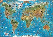 Świat mapa... -  books in polish 