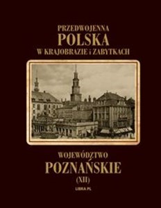 Obrazek Województwo poznańskie