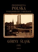 polish book : Górny Śląs... - Władysław Miedniak