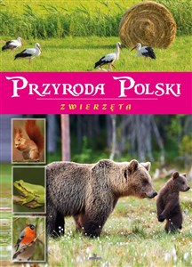 Obrazek Przyroda Polski Zwierzęta