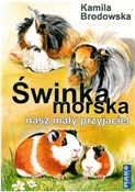 Świnka mor... - Kamila Brodowska -  books in polish 