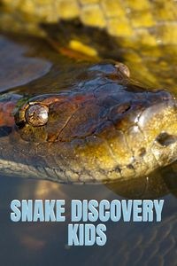 Obrazek Snake Discovery Kids Jungle Stories Of Mysterious & Dangerous Snakes With Funny Pictures, Photos & Memes Of Snakes For Children