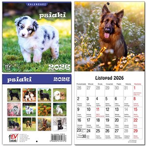 Obrazek Kalendarz 2026 dla dzieci 13 planszowy Psiaki