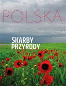Polska. Sk... - Monika Karolczuk -  foreign books in polish 
