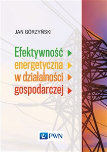 Picture of Efektywność energetyczna w działalności gospodarczej