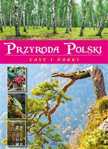 Picture of Przyroda Polski Lasy i parki