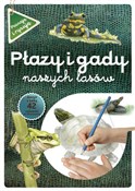 polish book : Płazy i ga... - Katarzyna Kopiec-Sekieta, Grażyna Maternicka