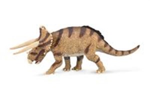 Picture of Triceratops horridus w starciu