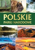 Polskie pa... - Opracowanie Zbiorowe -  foreign books in polish 