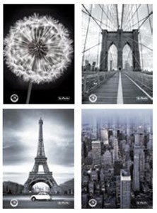 Picture of Brulion A4/96K kratka Black&White (5szt)