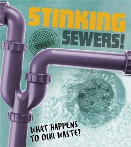 Picture of Stinking Sewers!