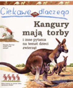 Obrazek Ciekawe dlaczego kangury mają torby