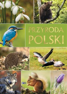 Picture of Przyroda Polski