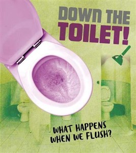 Picture of Down the Toilet!