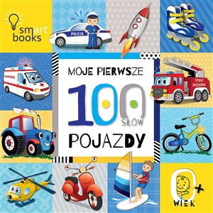 Picture of Moje pierwsze 100 słów Pojazdy