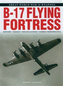 Picture of B-17 Flying Fortress