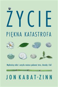 Picture of Życie, piękna katastrofa. Mądrością ciała i umysłu możesz pokonać stres, choroby i ból