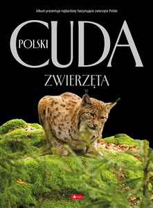 Picture of Zwierzęta. Cuda Polski