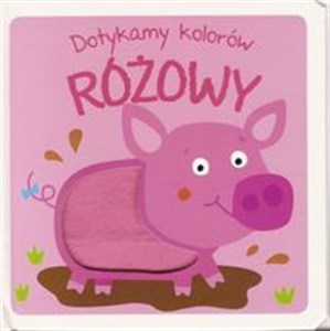 Obrazek Dotykamy kolorów Różowy