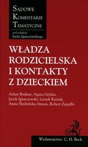 Picture of Władza rodzicielska i kontakty z dzieckiem