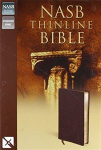 Obrazek NASB Thinline Bible