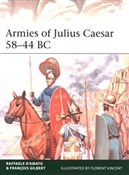 Armies of ... - Raffaele D’Amato, Francois Gilbert -  books from Poland