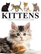 Kittens - David Alderton -  books from Poland