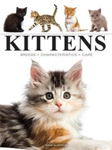 Picture of Kittens