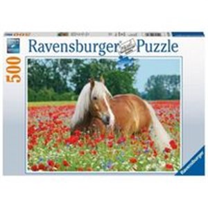 Picture of Puzzle 500 Koń w łące maków