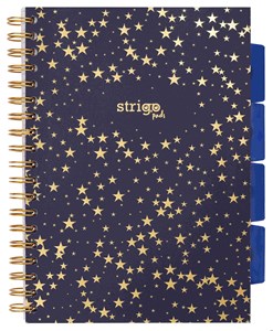 Picture of Kołozeszyt Strigo B5 Project Book Gwiazdy czarny kratka
