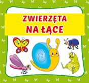 Książka : Zwierzęta ... - Pruchnicka Emilia