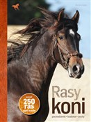 Rasy koni - Haller Martin -  foreign books in polish 