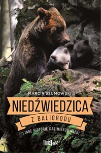 Obrazek Niedźwiedzica z Baligrodu i inne historie Kazimierza Nóżki
