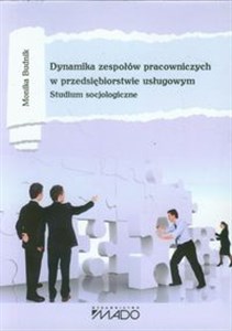 Obrazek Dynamika zespołów pracowniczych w przedsiębiorstwie usługowym Studium socjologiczne
