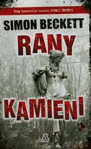 Picture of Rany kamieni