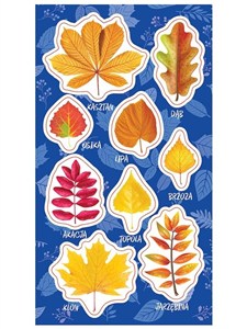 Picture of Naklejki Jesienne liście