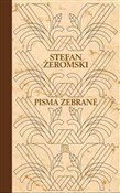 Stefan Żer... - Stefan Żeromski -  books from Poland