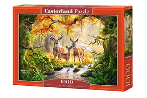 Picture of Puzzle 1000 Royal Family