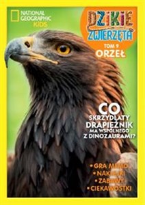 Picture of Dzikie Zwierzęta 9 Orzeł