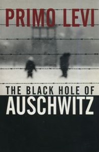 Picture of The Black Hole of Auschwitz